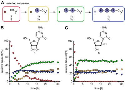 Modular Enzymatic Cascade Synthesis of Nucleotides Using a (d)ATP Regeneration System